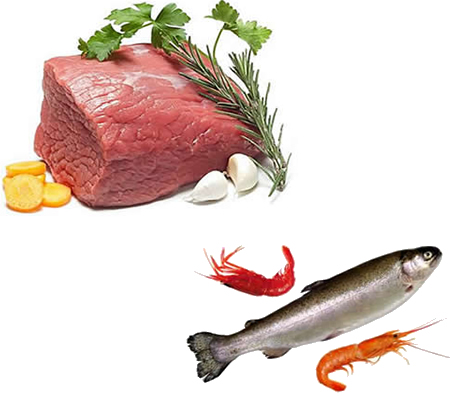 肉食品水產品烘干機、肉脯烘干設備、肉類烘干設備